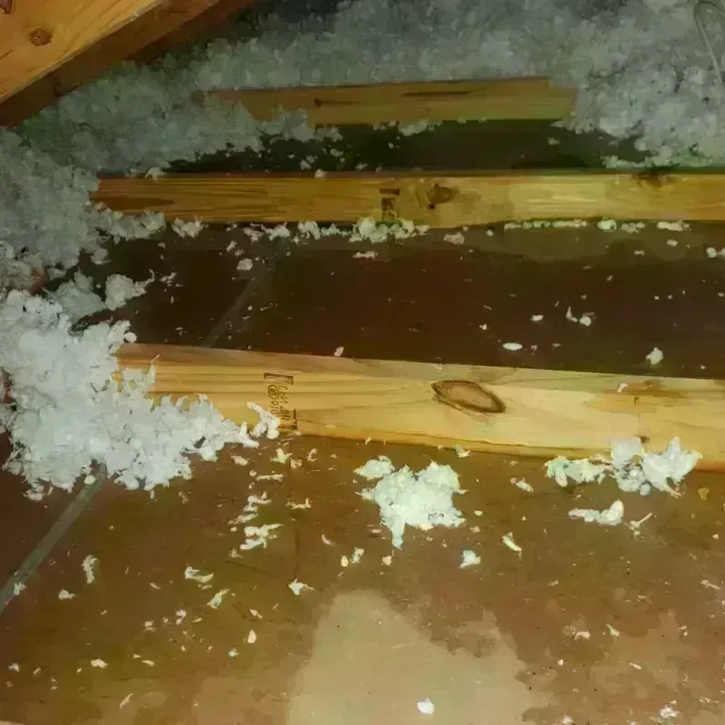 Attic Water Damage in Marion County, WV