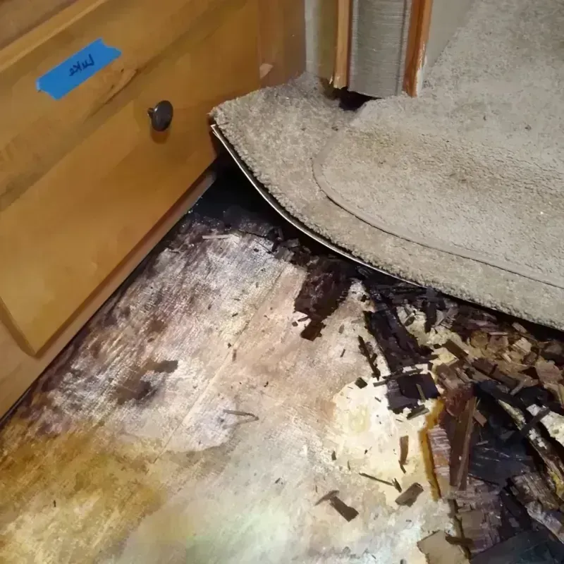 Wood Floor Water Damage in Marion County, WV